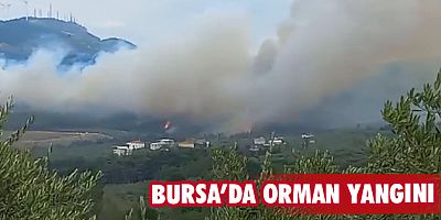 Bursa’da orman yangını