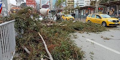  İzmir'de fırtına hayatı olumsuz etkiledi