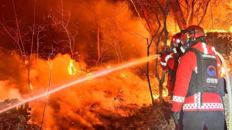 200 futbol sahası büyüklüğünde alan küle döndü