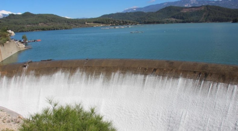 3 yıl aradan sonra doldu taştı, üretici bayram etti