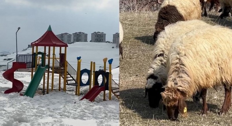 40 kilometre arayla iki mevsim