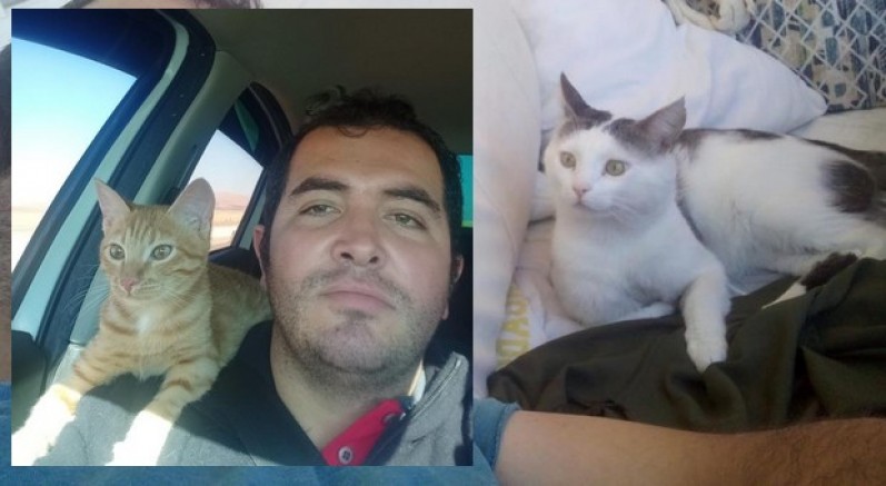 7 yıllık dostunu arıyor