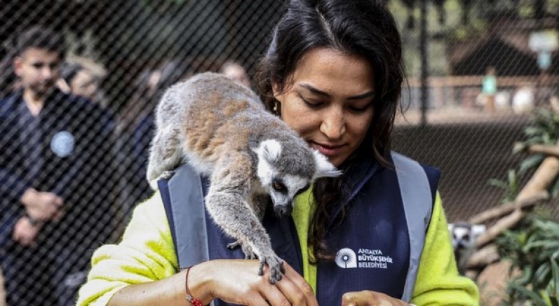 Antalya Doğal Yaşam Parkı’nda yavru lemur sevinci