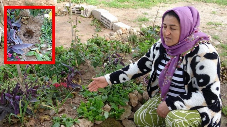 Babasının mezarına uyuşturucu saklamışlar