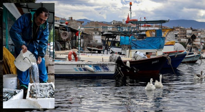 Balık sizden, mazot bizden