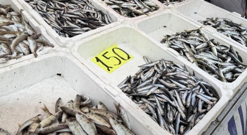 Balık tezgahlarında kıyı balıkçılığı mesaisi