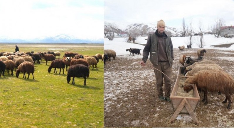 Bir taraf bahar bahçe, diğer taraf kış