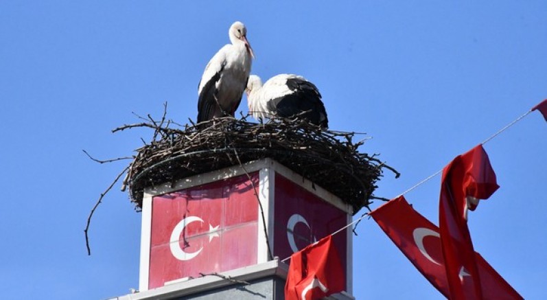 Can ve Canan Leylek Yeniden İznik’te