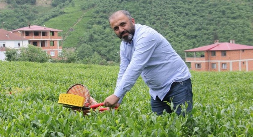 Çay üreticileri kuru çaya da zam bekliyor