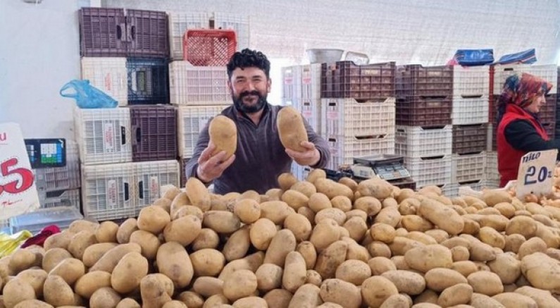 Dev patatesler pazarın ilgi odağı oldu