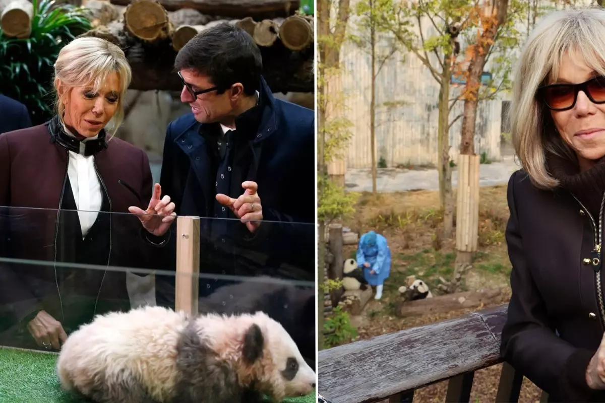 First Lady Macron, eski dostu panda ile Çin'de buluştu