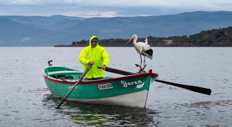 Gelen leylek Nazlı değil, Yaren'miş