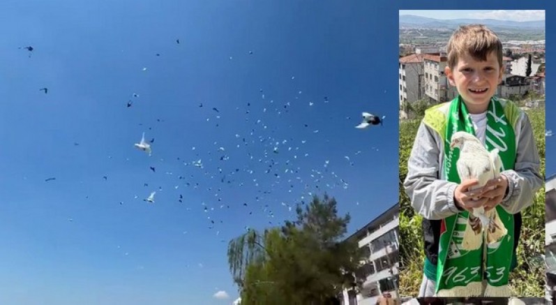 Güvercinin başkentinde muhteşem şov