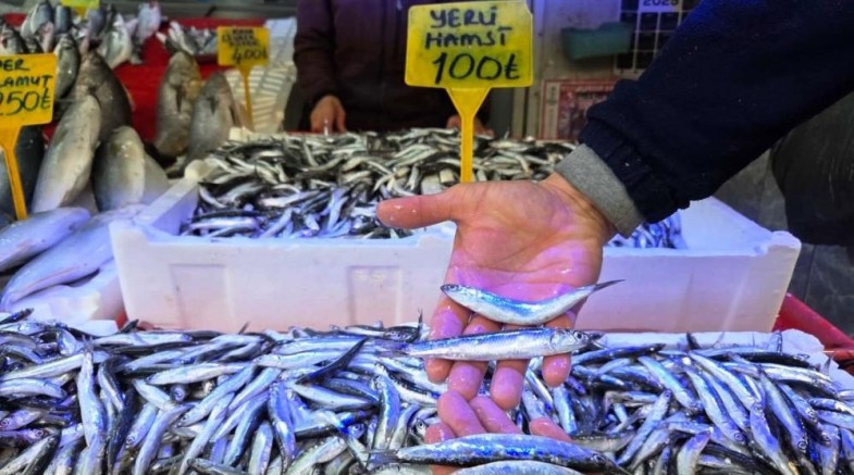 Hamside Ramazan bereketi