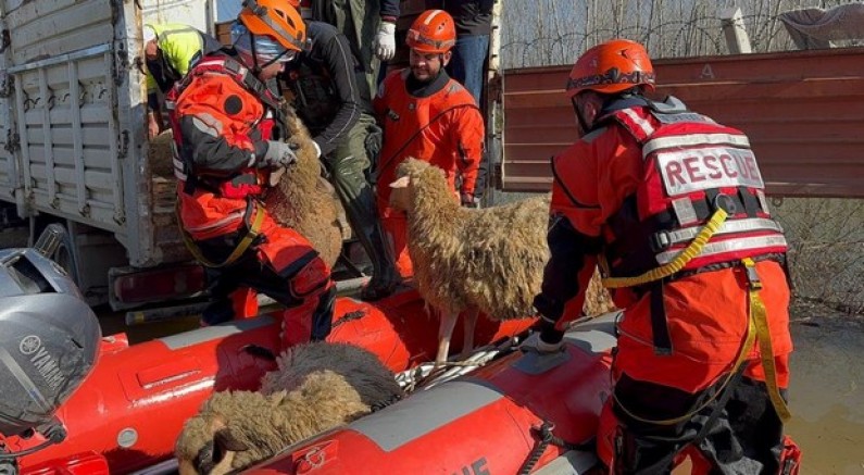 Hayvanlar zodyak botlarla kurtarılıyor