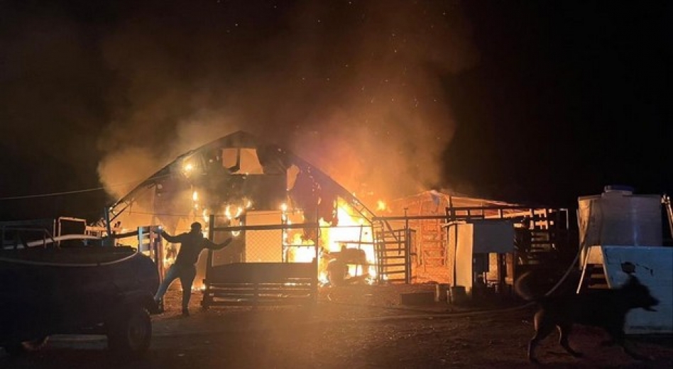 İnegöl'de hayvan çiftliğinde yangın: 580 hayvan telef oldu