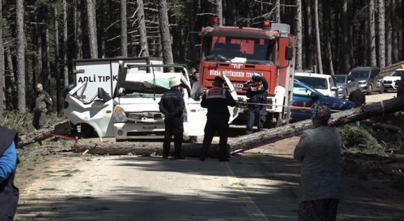 İşe giderken ölüm üzerine devrilen ağaçla geldi