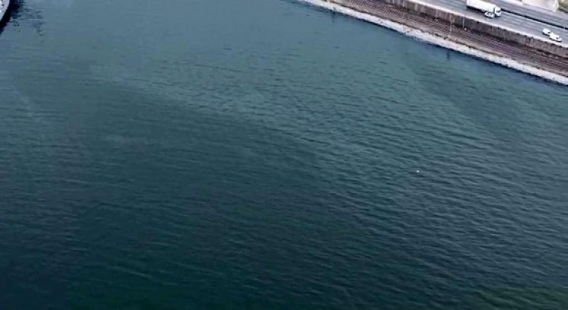 İzmir Körfezi’nde kirlilik alarmı