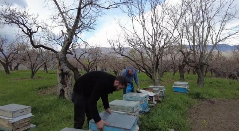 Kars'ta arıcılık sezonu başladı