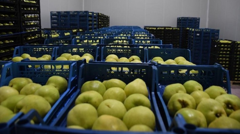 Kestel'e 400 milyon liralık dev meyve tesisi kuruluyor