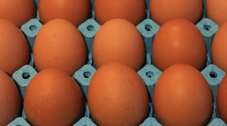 Kişi başına düşen yumurta üretimi azaldı