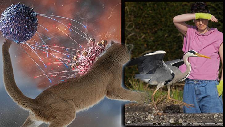 Kuş gribi ilk kez insan öldürdü! Virüs kapıyı araladı: 'Artık tehdit değil, çok başlı bir yapı'