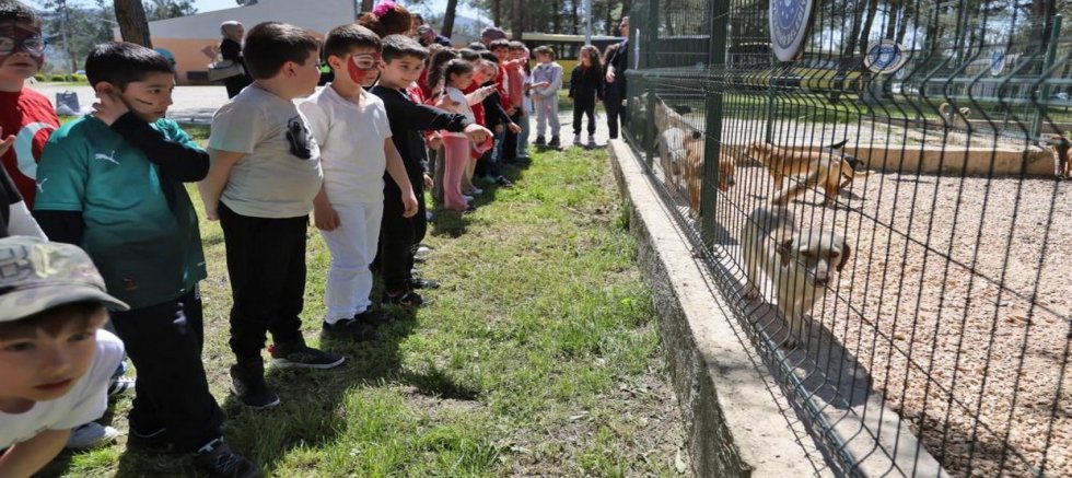 Bursa'da çocuklar patili dostlarla buluştu