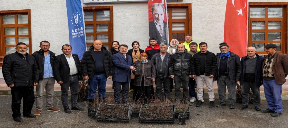 Büyükşehir'de üreticiye fidan ve tohum desteği