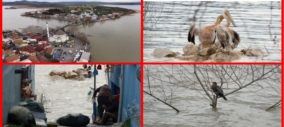 Doğanın emaneti Uluabat Gölü bir başka güzel