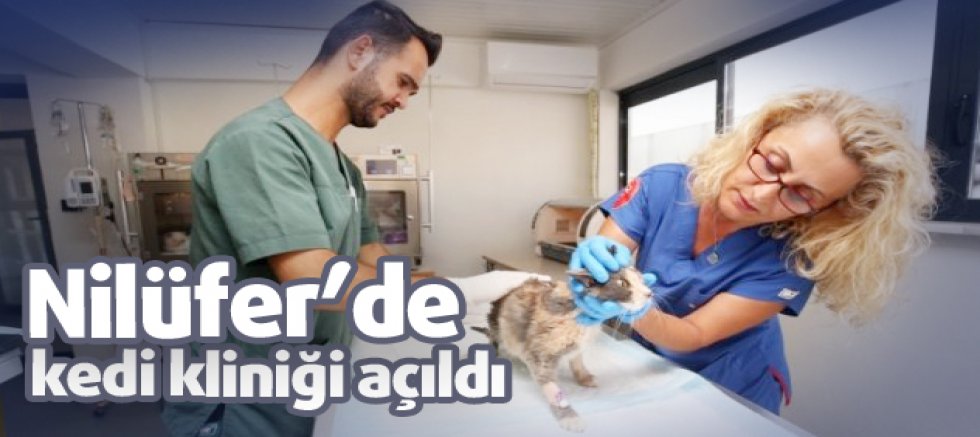 Nilüfer'de kedi kliniği açıldı
