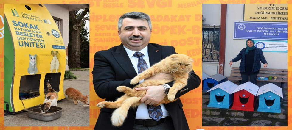 Sokak hayvanlarının Yıldırım da yuvası var
