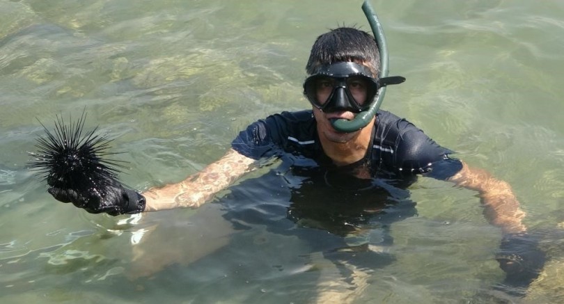 Marmara'nın denizkestanesi avcılığına açılmasına tepki