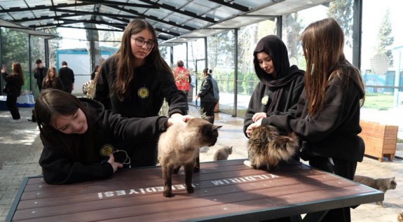Öğrencilerden patili canlara ziyaret