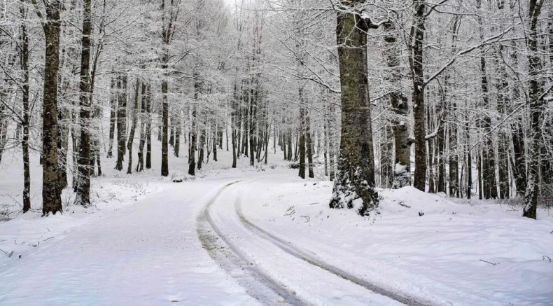 Ordu'nun 15 ilçesinde eğitime kar engeli