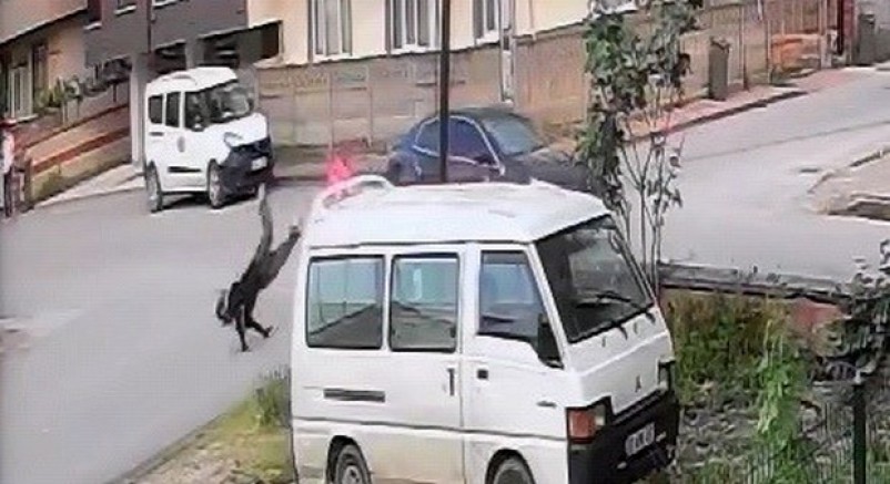 Otomobille çarpışan motosikletli yaralandı