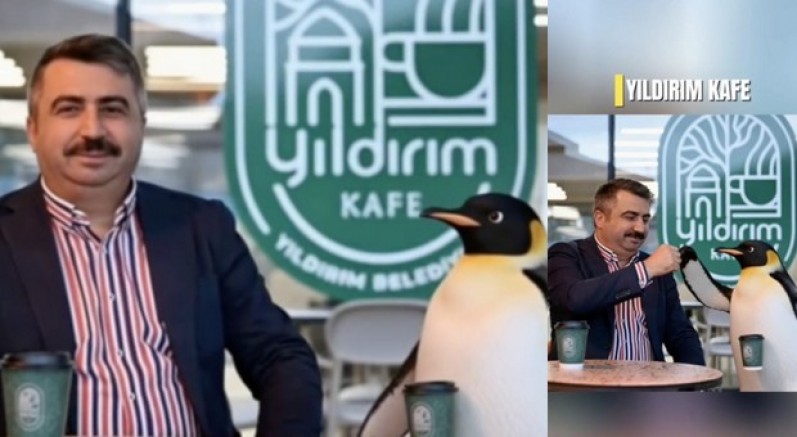 Penguen sürüden ayrılırken belediyeler boş durmadı