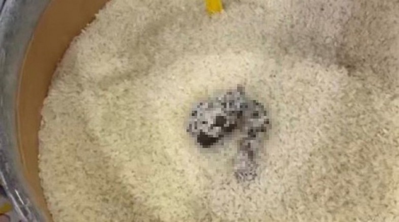 Pirinçten kedi dışkısı çıkan markete ceza