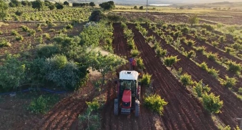 Şafak vakti çiftçiler tarlalara akın ediyor