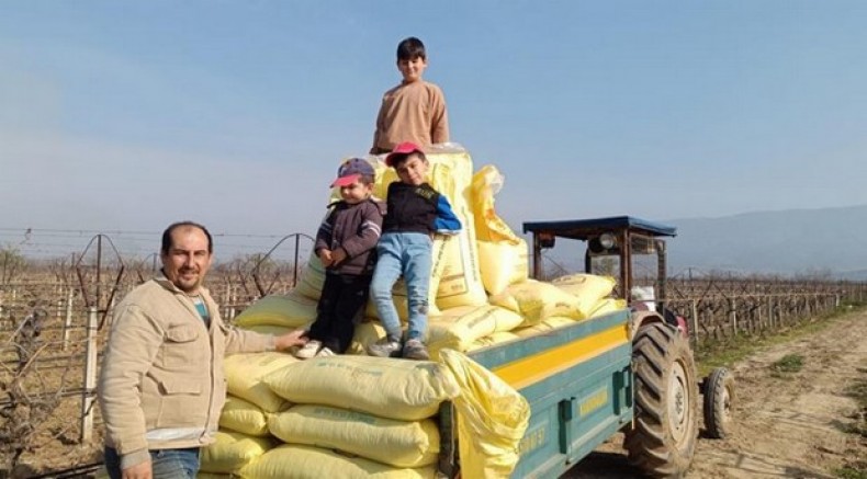 Sarıgöl bağlarında gübreleme çalışmaları başladı