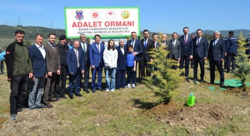 Şehit Cengiz Yiğit anısına hatıra ormanı