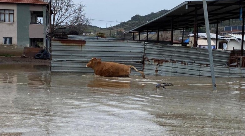 Şiddetli yağışlar Kula’da taşkınlara yol açtı