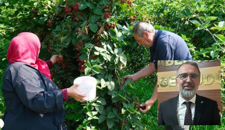 Sırbistan modeliyle Kestel'de üretim