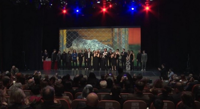 Sokak hayvanları için tek bir şarkıda buluştular