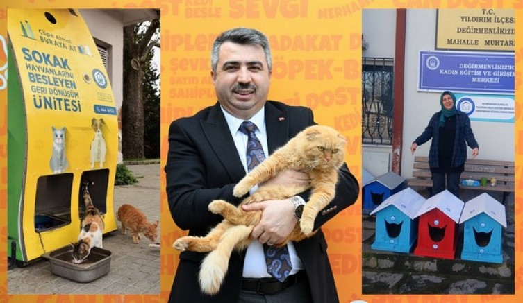 Sokak hayvanlarının Yıldırım da yuvası var