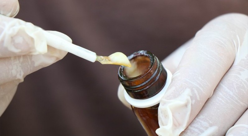 'Süper gıda' arı sütü mercek atında