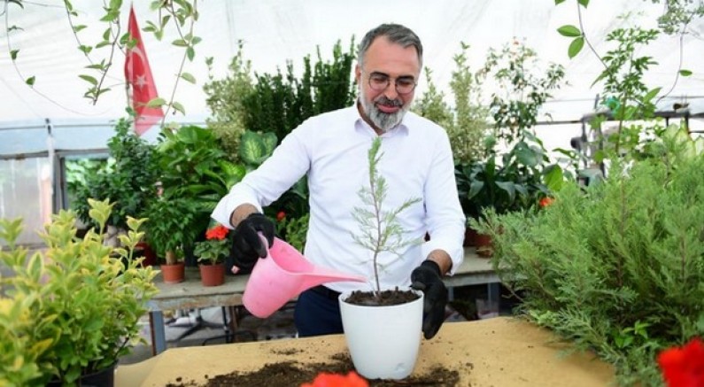 Süs bitkileri dünya pazarına açılıyor