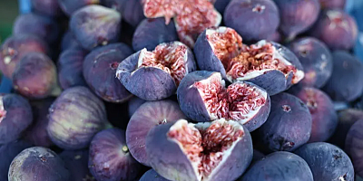 11. Akçalar İncir Festivali 14 Eylül'de