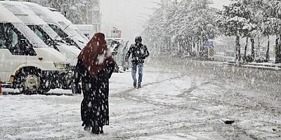 Ahlat’ta nisan karı etkili oldu