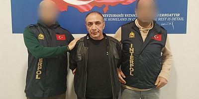 Akbaba Almanya’dan Türkiye'ye getirildi