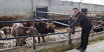 Akıllı ahır projesiyle verimliliği artırdı